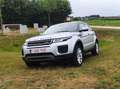Land Rover Range Rover Evoque Range Rover Evoque TD4 Aut. HSE Dynamic Zilver - thumbnail 7