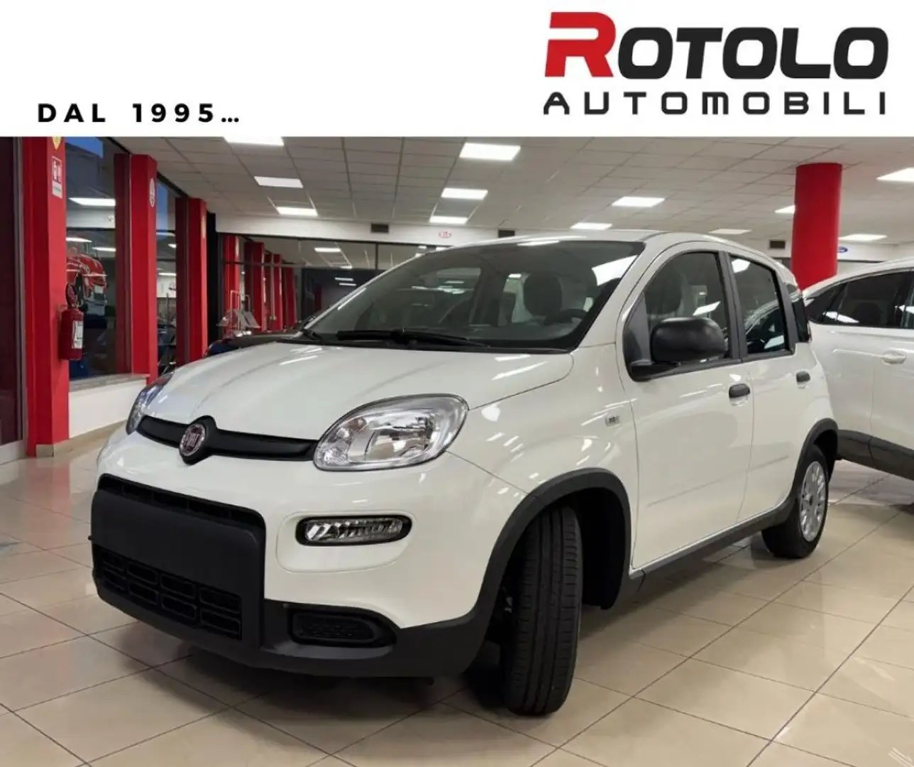 Fiat New Panda 1.0 FireFly S&S Hybrid SENZA FINANZIAMENTO Alb - 1