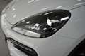 Porsche Cayenne Todoterreno 340cv Automático de 6 Puertas Bianco - thumbnail 13