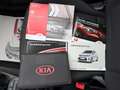 Kia Picanto Edition 7 *1-Hand *SHZ*LHZ* Weiß - thumbnail 19