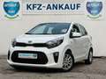 Kia Picanto Edition 7 *1-Hand *SHZ*LHZ* Weiß - thumbnail 1