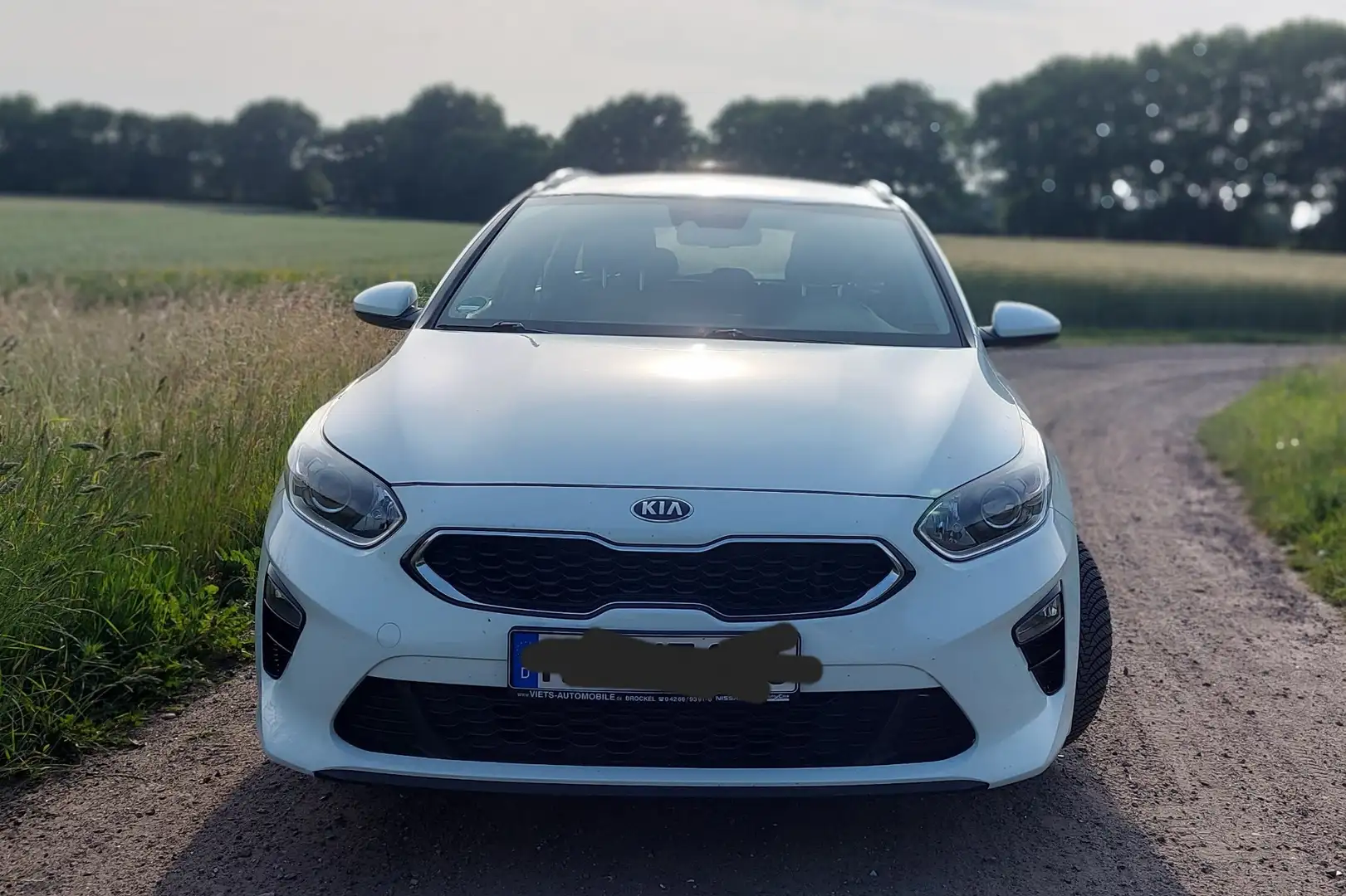Kia Ceed SW / cee'd SW 1.6 CRDi Vision Weiß - 2