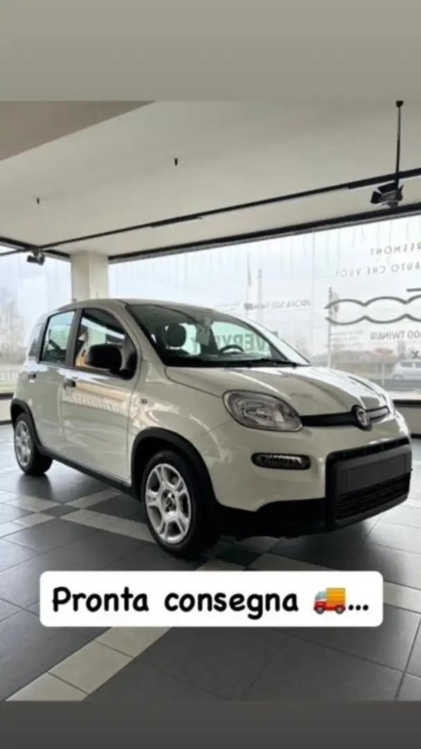 Fiat Panda 1.0 firefly hybrid s Bianco - 2