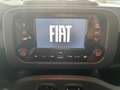 Fiat Panda 1.0 firefly hybrid s Bianco - thumbnail 10