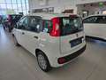 Fiat Panda MY25 1.0 70CV Hybrid Vernice+Pack City+5° Posto Bianco - thumbnail 6
