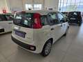 Fiat Panda MY25 1.0 70CV Hybrid Vernice+Pack City+5° Posto Bianco - thumbnail 4