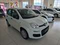 Fiat Panda MY25 1.0 70CV Hybrid Vernice+Pack City+5° Posto Bianco - thumbnail 3