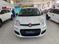 Fiat Panda MY25 1.0 70CV Hybrid Vernice+Pack City+5° Posto Bianco - thumbnail 2