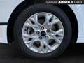 Kia Ceed SW / cee'd SW Ceed SW 1.5 T-GDI DCT7 Vision Komfort+-P. Kamera Weiß - thumbnail 15