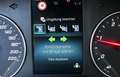 Mercedes-Benz Citan Tourer 110 CDI Base SpurW SpurH KlimaA Argento - thumbnail 19