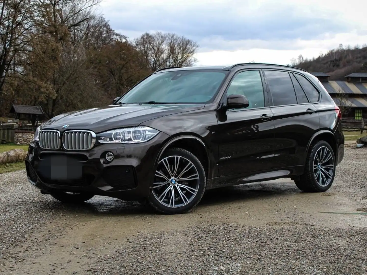 BMW X5 X5 3.0 xDrive40d Braun - 1