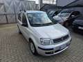 Fiat Panda 1.2 Dynamic Argento - thumbnail 3