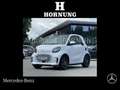 smart forTwo smart EQ fortwo Passion Vorklima Multi-L SitzH. BC Weiß - thumbnail 1