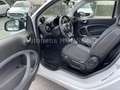 smart forTwo smart EQ fortwo Passion Vorklima Multi-L SitzH. BC Weiß - thumbnail 5