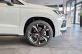 CUPRA Ateca 2.0 TSI DSG 4Drive 19" AHK ACC 5J.Garantie Weiß - thumbnail 4