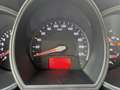 Kia Rio 5p 1.2Gpl per neopatentati euro6 - thumbnail 12