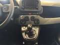 Fiat New Panda 1.0 FireFly Hybrid City Life Bianco - thumbnail 13