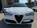 Alfa Romeo Stelvio 2.2 Turbodiesel 210 CV AT8 Q4 Veloce Grijs - thumbnail 6