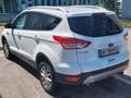Ford Kuga Kuga 2,0 TDCi 4x4 Titanium PowerShift 150 PS Weiß - thumbnail 4