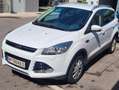 Ford Kuga Kuga 2,0 TDCi 4x4 Titanium PowerShift 150 PS Weiß - thumbnail 2