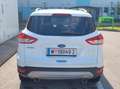 Ford Kuga Kuga 2,0 TDCi 4x4 Titanium PowerShift 150 PS Weiß - thumbnail 6