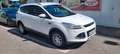 Ford Kuga Kuga 2,0 TDCi 4x4 Titanium PowerShift 150 PS Weiß - thumbnail 3