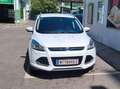 Ford Kuga Kuga 2,0 TDCi 4x4 Titanium PowerShift 150 PS Weiß - thumbnail 5
