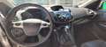 Ford Kuga Kuga 2,0 TDCi 4x4 Titanium PowerShift 150 PS Weiß - thumbnail 14