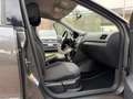 Volkswagen Polo Polo 1.4 TDI 5p. Trendline Grigio - thumbnail 13