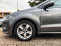 Volkswagen Polo Polo 1.4 TDI 5p. Trendline Grigio - thumbnail 14