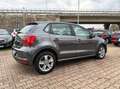 Volkswagen Polo Polo 1.4 TDI 5p. Trendline Grigio - thumbnail 5