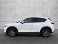 Mazda CX-5 G165 AWD Takumi Aut. Weiß - thumbnail 11