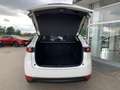 Mazda CX-5 G165 AWD Takumi Aut. Weiß - thumbnail 10