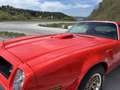 Pontiac Trans Am 400cui TH350 - thumbnail 18