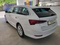 Skoda Octavia Octavia Combi 2,0 TDI Style *3 Jahre Garantie Weiß - thumbnail 6