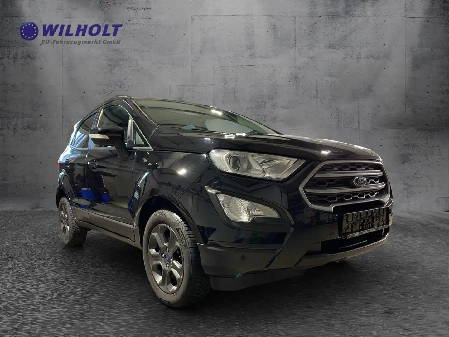 Ford EcoSport 1,0 Navi / Alu / Winterpaket Noir - 2