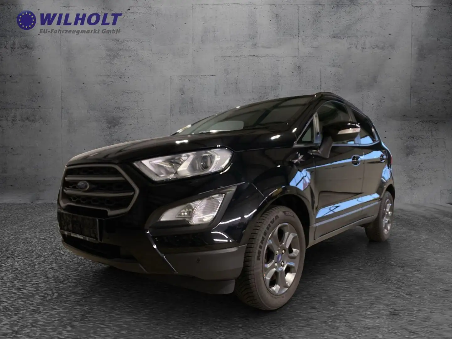 Ford EcoSport 1,0 Navi / Alu / Winterpaket Noir - 1