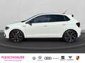 Volkswagen Polo GTI VI 2.0 TSI MATRIX+ACC+DC+NAVI+CARPLAY+PDC V&H+SHZ Weiß - thumbnail 3