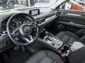 Mazda CX-5 Kangei 2WD 2.5 SKYACTIV-G 194 EU6d-T HUD Navi 360 Weiß - thumbnail 4