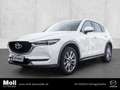 Mazda CX-5 Kangei 2WD 2.5 SKYACTIV-G 194 EU6d-T HUD Navi 360 Weiß - thumbnail 1