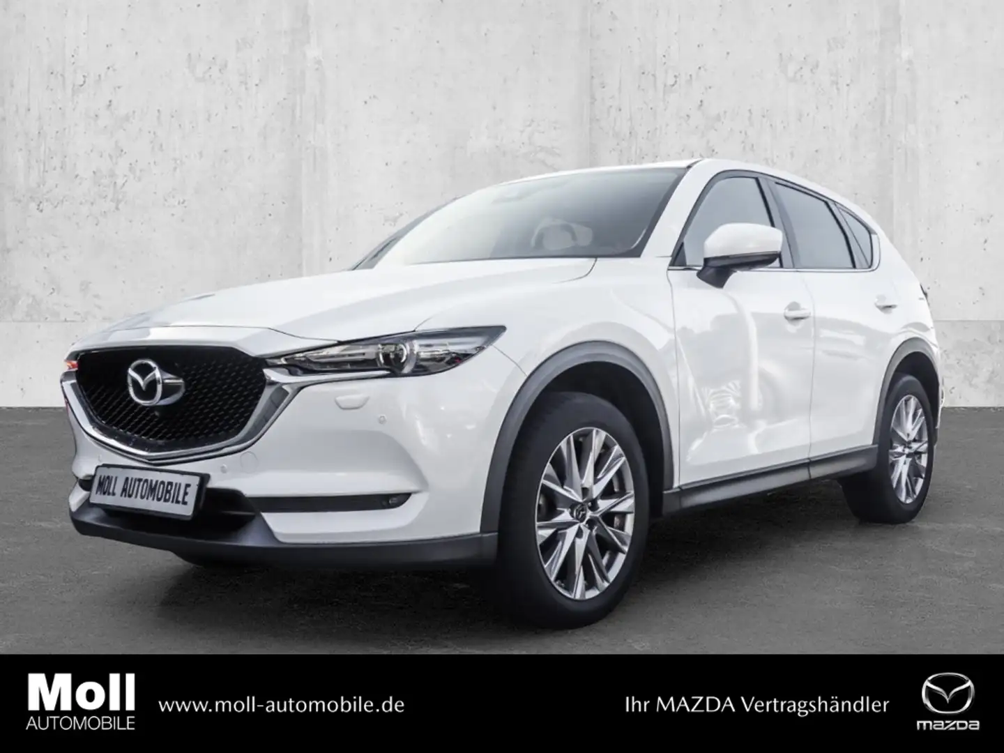 Mazda CX-5 Kangei 2WD 2.5 SKYACTIV-G 194 EU6d-T HUD Navi 360 Weiß - 1