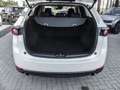Mazda CX-5 Kangei 2WD 2.5 SKYACTIV-G 194 EU6d-T HUD Navi 360 Weiß - thumbnail 19