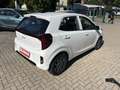 Kia Picanto Vision mit Automatikgetriebe + Winterreifen Blanc - thumbnail 3