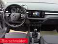Skoda Fabia 1.0 MPI Ambition LED SHZ SMART-LINK Grau - thumbnail 14