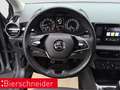 Skoda Fabia 1.0 MPI Ambition LED SHZ SMART-LINK Grau - thumbnail 17