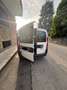 Fiat Doblo 1.3 mjt pc combi 1 Alb - thumbnail 5