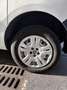 Fiat Doblo 1.3 mjt pc combi 1 Alb - thumbnail 13
