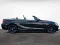 BMW 220 d Cabrio,Sport,Automatik,Xenon,SHZ,Temp,Navi Negro - thumbnail 4