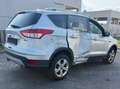 Ford Kuga 2.0 TDCi 4x4 Aut. Individual Plateado - thumbnail 9