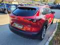 Mazda CX-30 G122 Comfort+/ST Aut. Rot - thumbnail 7